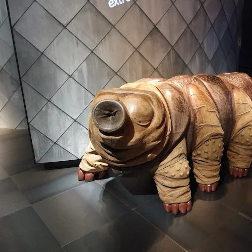 ARTIS Micropia