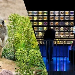 Zoo Royal ARTIS
