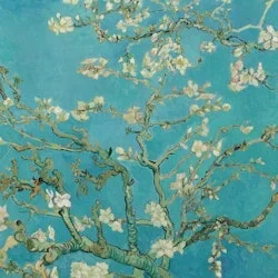 Musée Van Gogh Amsterdam